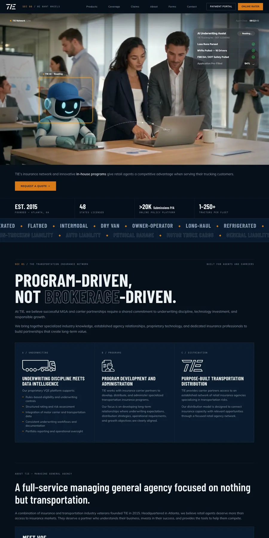 TIExperts website, full page