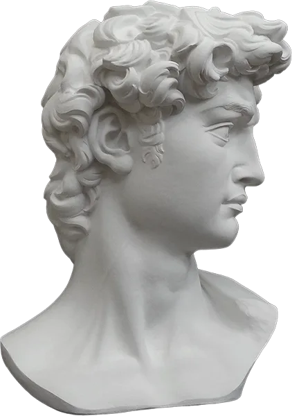 Marble bust of Michelangelo's David